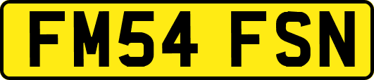 FM54FSN