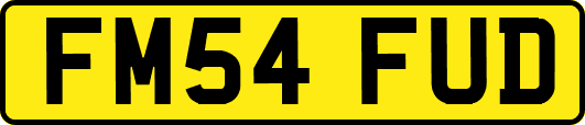 FM54FUD