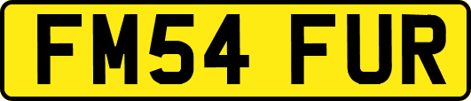 FM54FUR