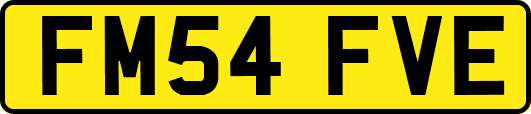 FM54FVE