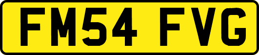 FM54FVG