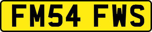 FM54FWS