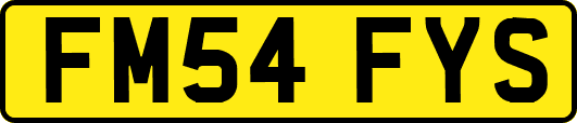 FM54FYS