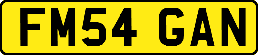 FM54GAN