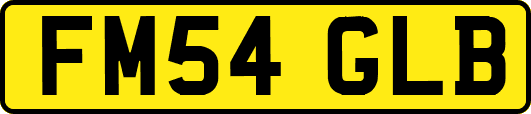 FM54GLB