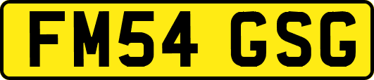 FM54GSG
