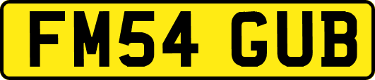 FM54GUB