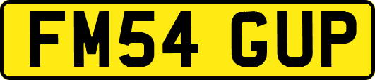FM54GUP