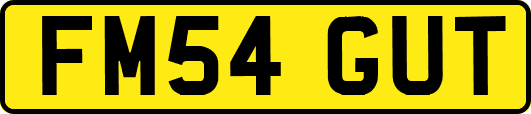 FM54GUT