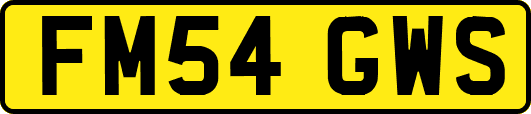 FM54GWS