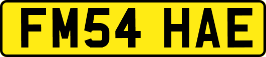 FM54HAE