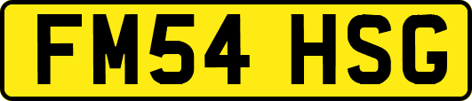 FM54HSG