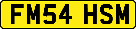 FM54HSM