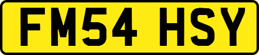 FM54HSY