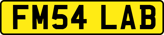 FM54LAB
