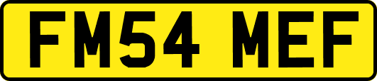FM54MEF