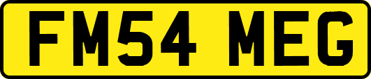 FM54MEG