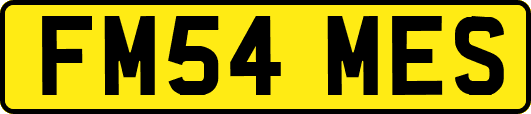 FM54MES