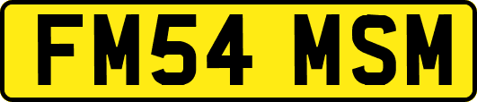 FM54MSM