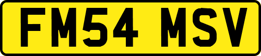 FM54MSV