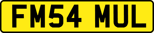 FM54MUL