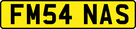 FM54NAS