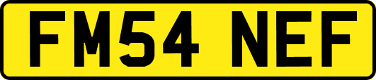 FM54NEF