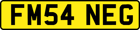 FM54NEG