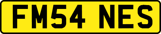 FM54NES