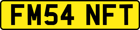 FM54NFT
