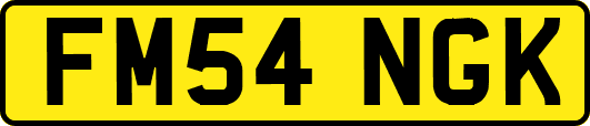 FM54NGK