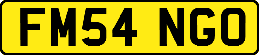 FM54NGO