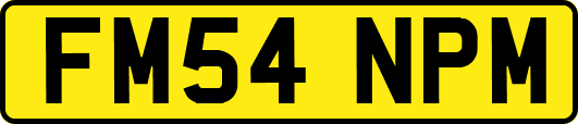 FM54NPM