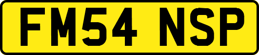 FM54NSP