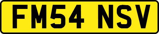FM54NSV