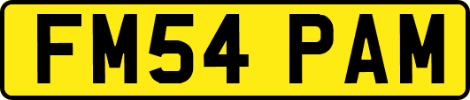 FM54PAM