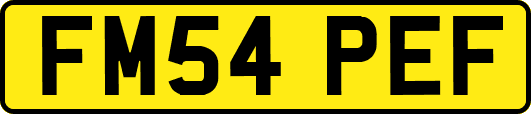 FM54PEF
