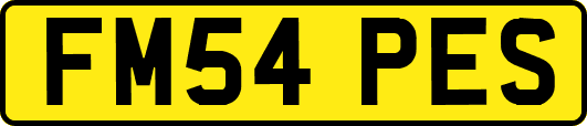 FM54PES