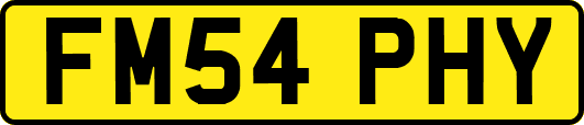 FM54PHY