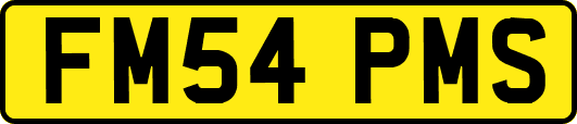 FM54PMS