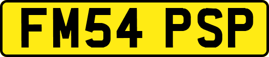 FM54PSP