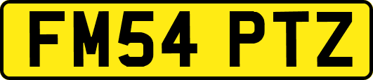 FM54PTZ