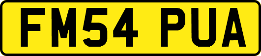 FM54PUA