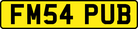 FM54PUB
