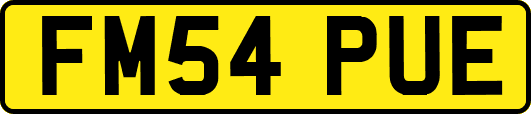 FM54PUE