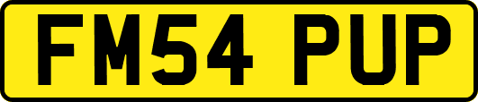 FM54PUP