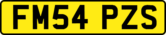 FM54PZS