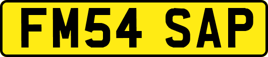 FM54SAP