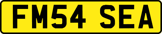 FM54SEA