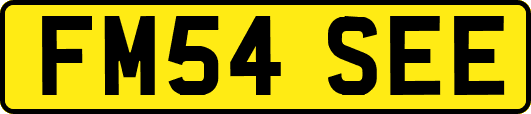 FM54SEE